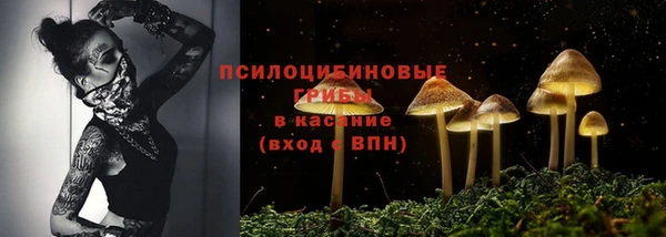 индика Балабаново