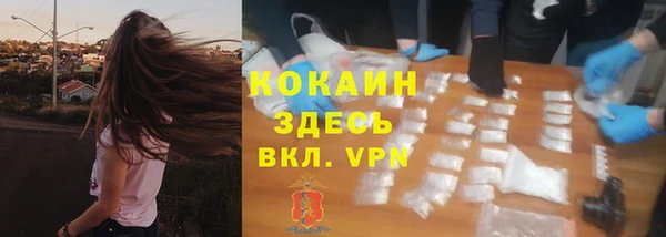 эйфоретик Баксан