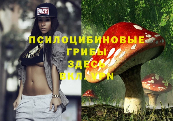 Альфа ПВП Арсеньев
