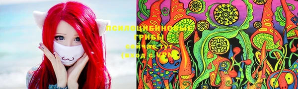 тгк Армянск