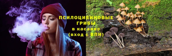 тгк Армянск
