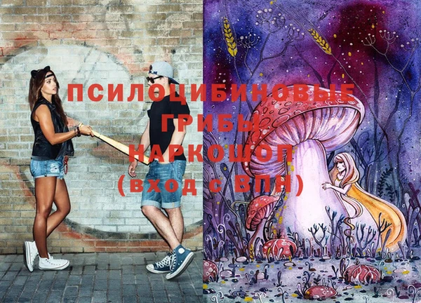 индика Балабаново