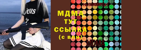 индика Балабаново
