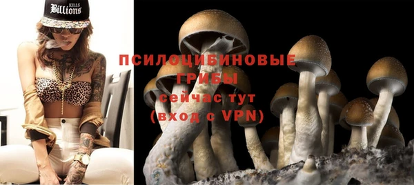 эйфоретик Баксан